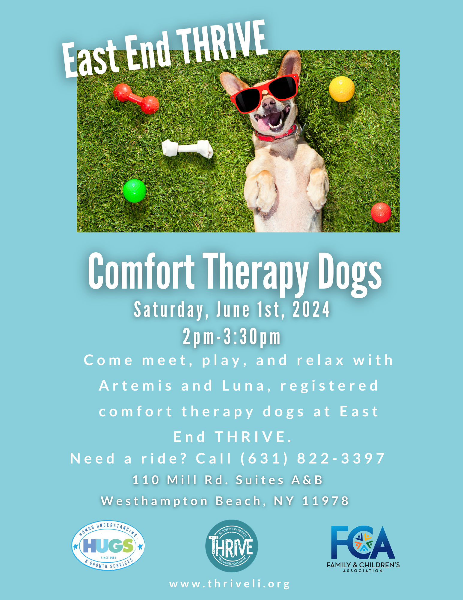 Comfort Therapy Dogs